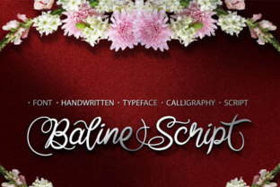 Baline Script: A Practical Approach to Dynamic Content Creation