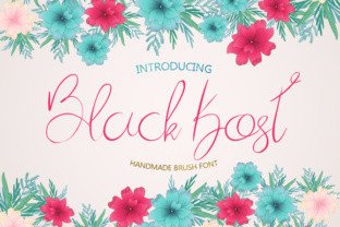 Black Kost: A Display Font That Demands Attention