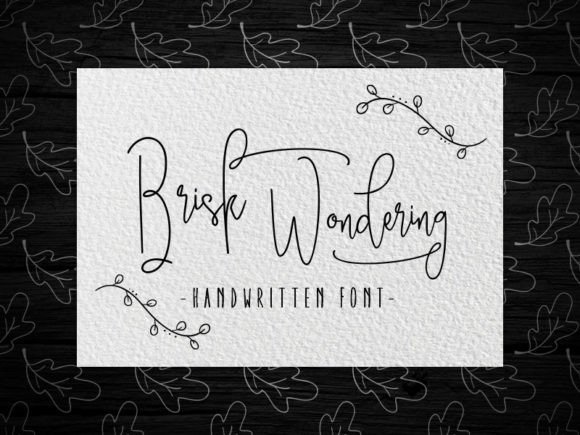 Brisk Wondering: The Art of Purposeful Curiosity in a Fast-Paced World