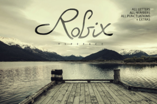 Getting Robix Right: A Practical Guide to Avoiding Common Mistakes and Getting the Most Out of the Platform