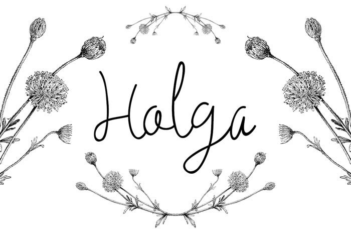 Holga