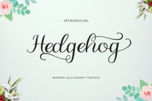 How to Use the Hedgehog Concept in Your Work