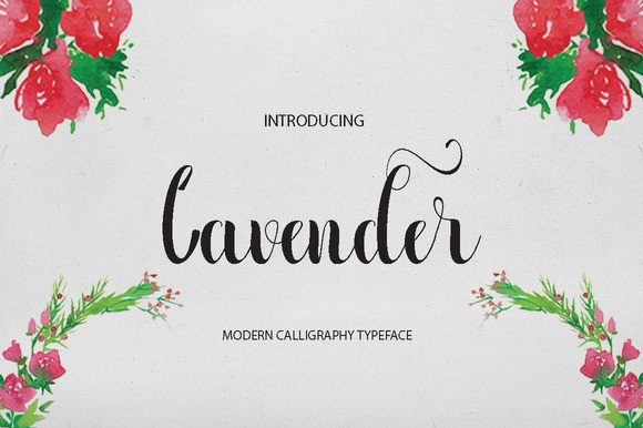 Lavender and Modern Life: A Complete Guide to History, Uses, and Practical Benefits