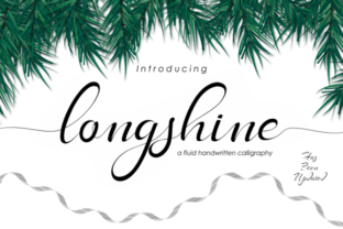 Longshine in Modern Connectivity: Performance, Durability, and Everyday Practicality