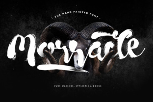 Morracle: A Platform for Every Creator