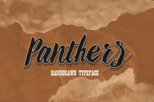 Panthers: A Practical Framework for Streamlining Complex Workflows