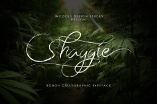 Shaggie: A Practical Tool for Modern Workflows and Creative Clarity