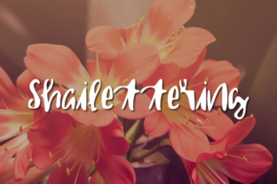 Shailettering: Redefining Organic Typography in the Modern Creative Landscape