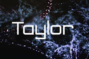 Taylor: The Timeless Strategy for Aligning Efficiency with Purpose