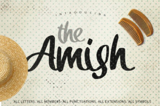 The Amish Way: Crafting Resilience in a Modern World