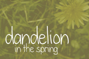 The Quiet Emergence of Dandelion in the Spring Landscape