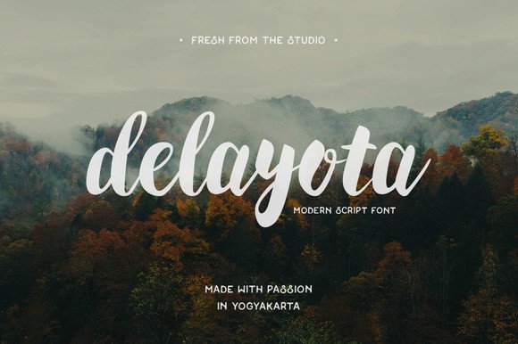 What Is Delayota? A Practical Guide