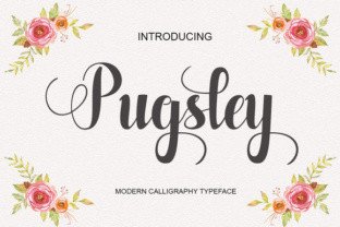 What Pugsley Teaches About Creativity and Individuality