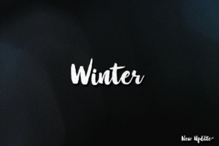 Winter Brush: Understanding Its Role and Deciding If It Fits Your Routine