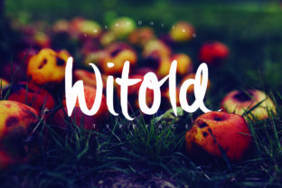 Witold: A Designer's Guide to Versatile Creative Assets